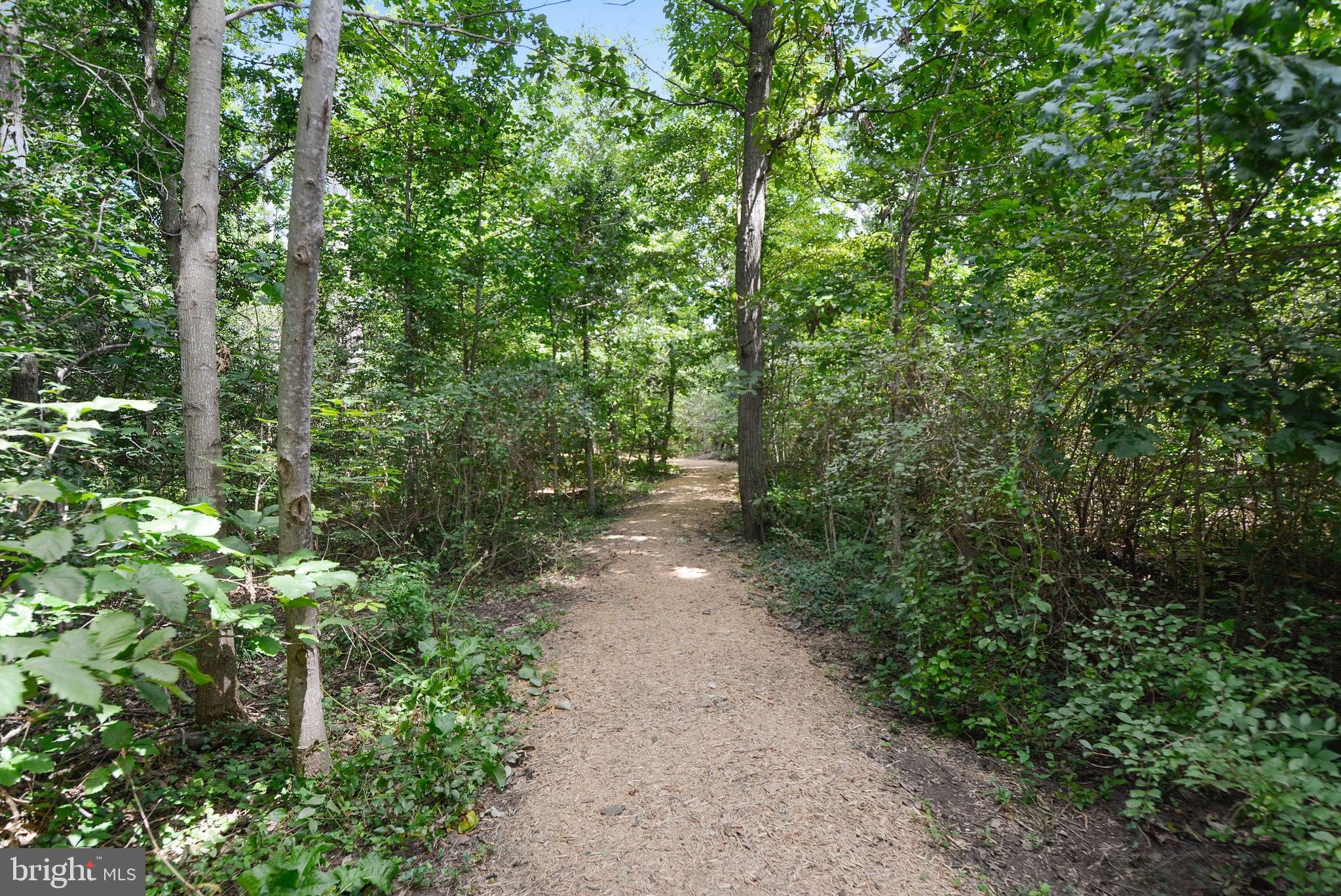 509 Wood Duck Ln