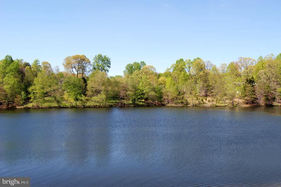 2900 Shipmaster Way #117