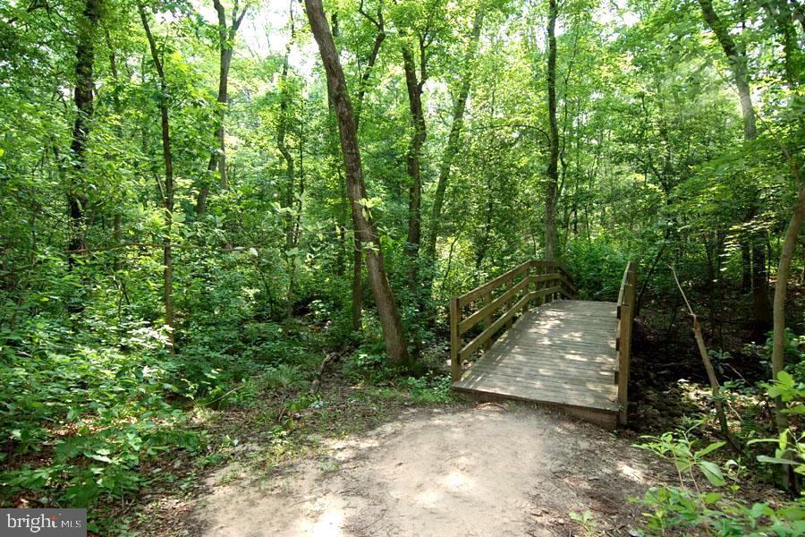 271 Lower Magothy Beach Rd