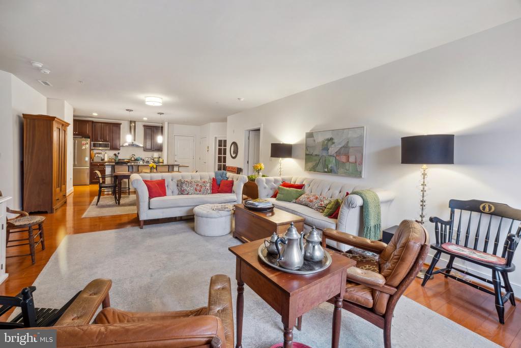 66 Franklin St #203