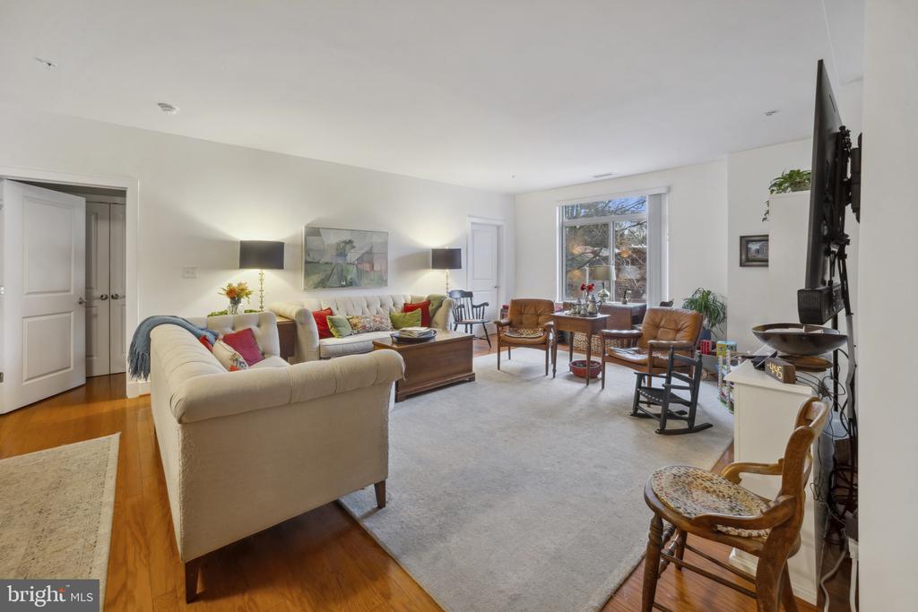 66 Franklin St #203