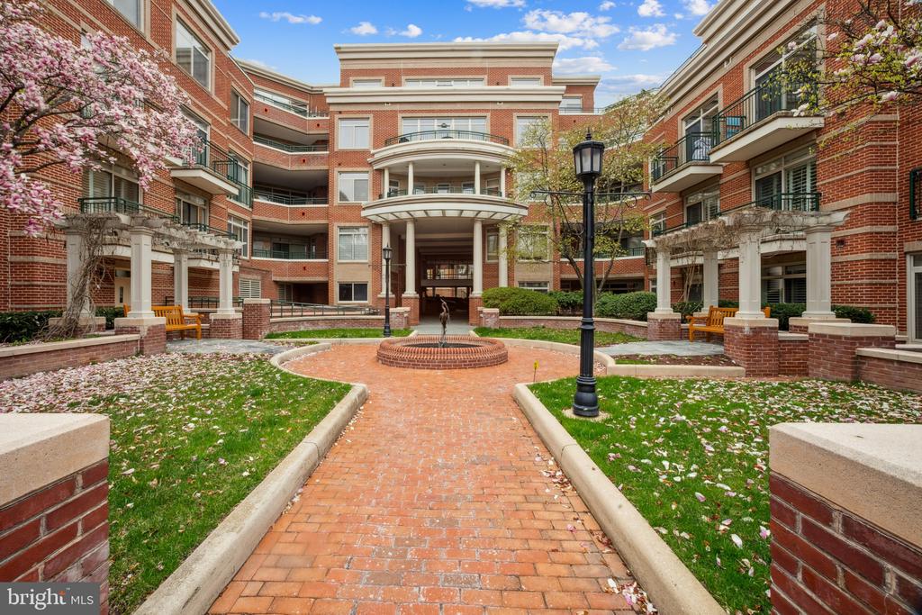 66 Franklin St #203