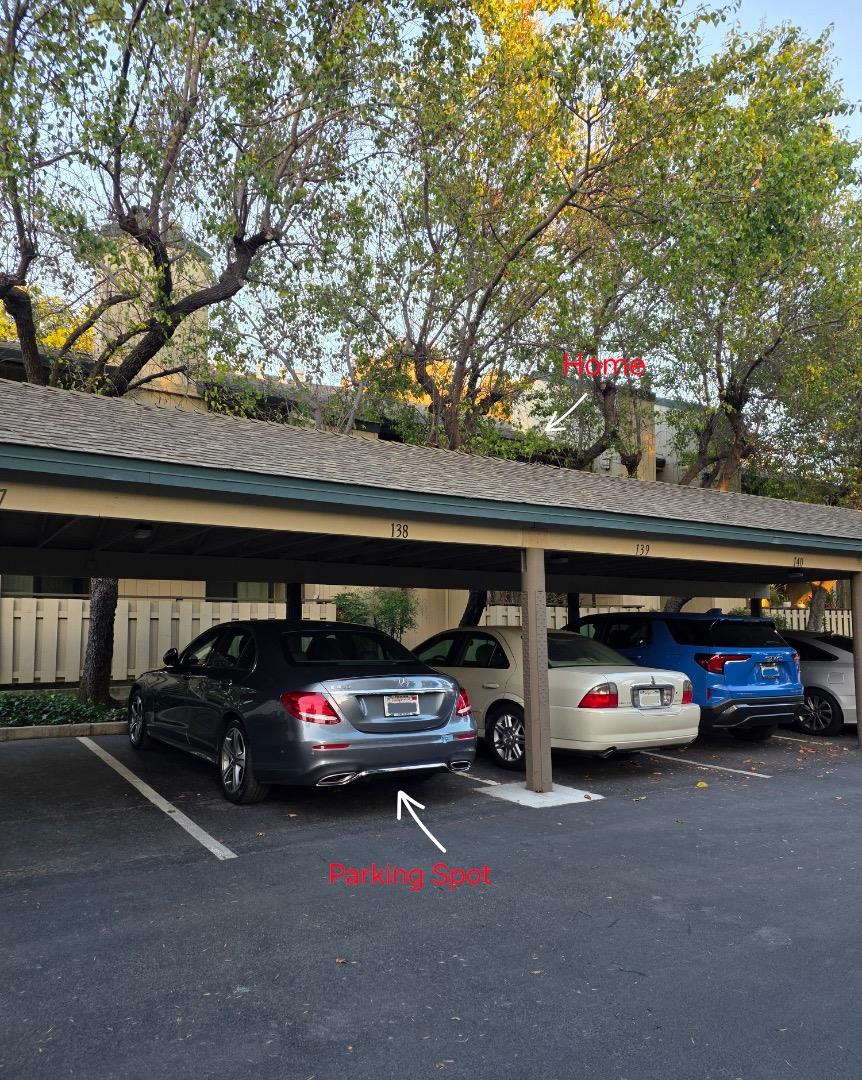 1528 Alma Terrace