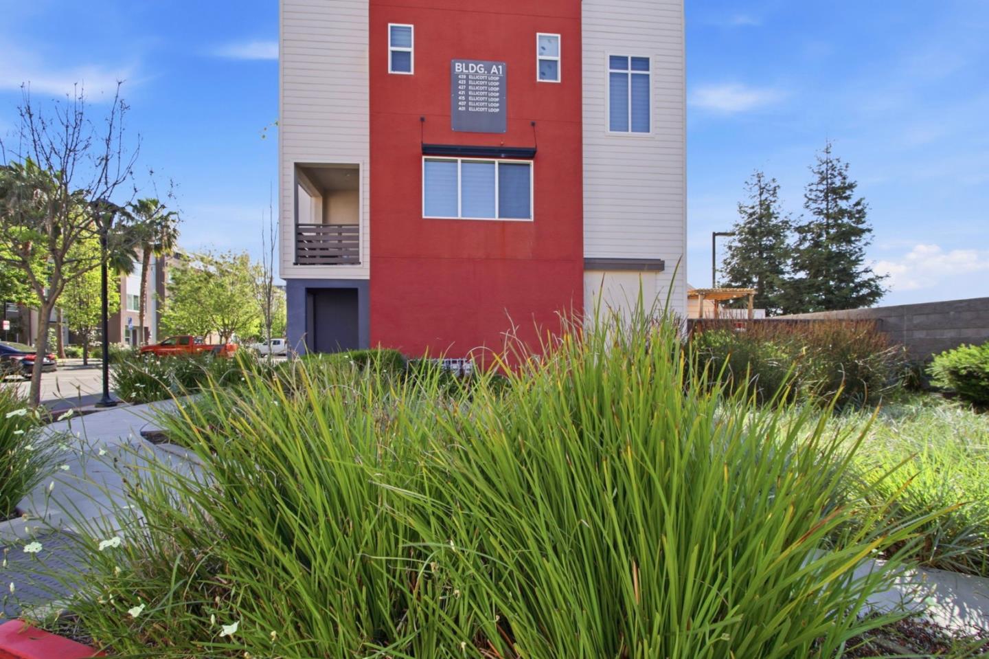 439 Ellicott LOOP