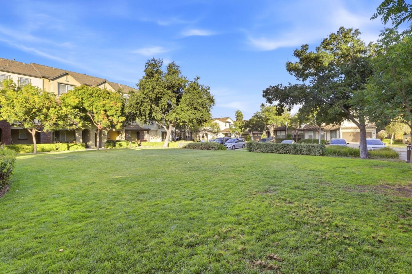 Shared lawn and mature trees in front of attached homes in a residential community.