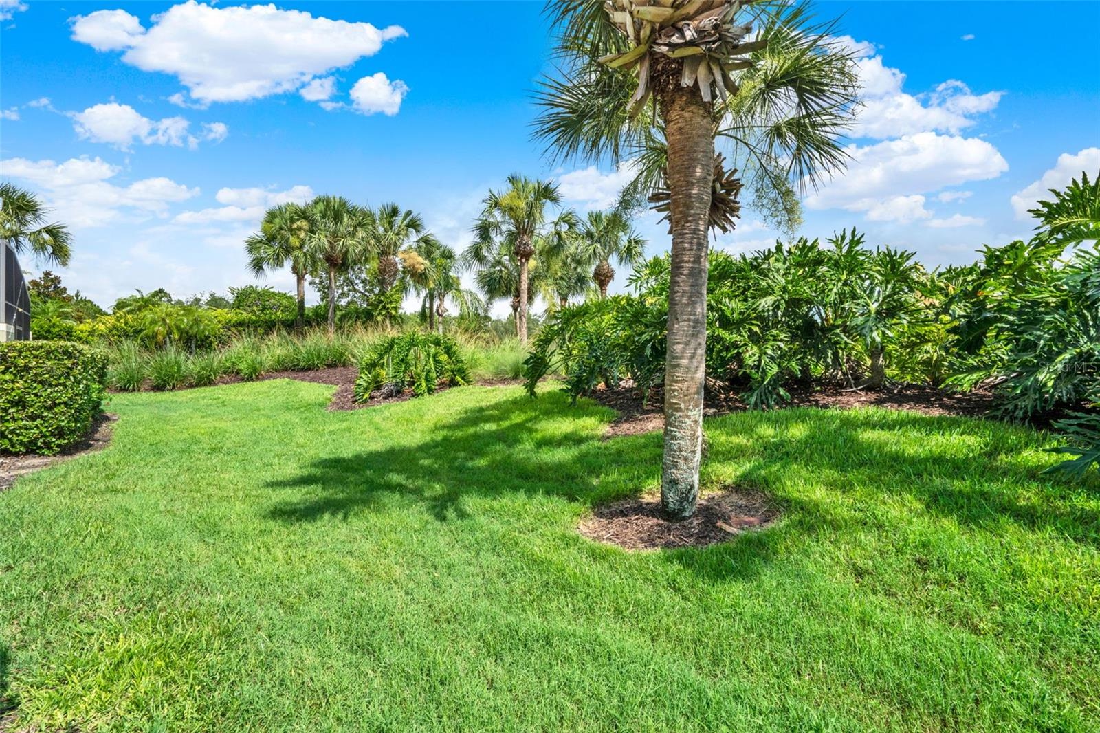 8977 MAJESTY PALM RD