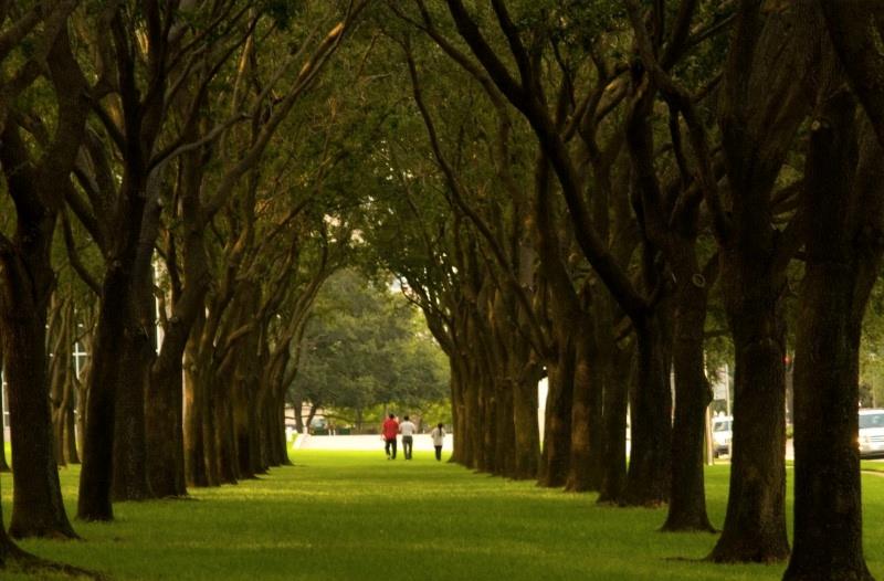 1131 Walling Street, Houston