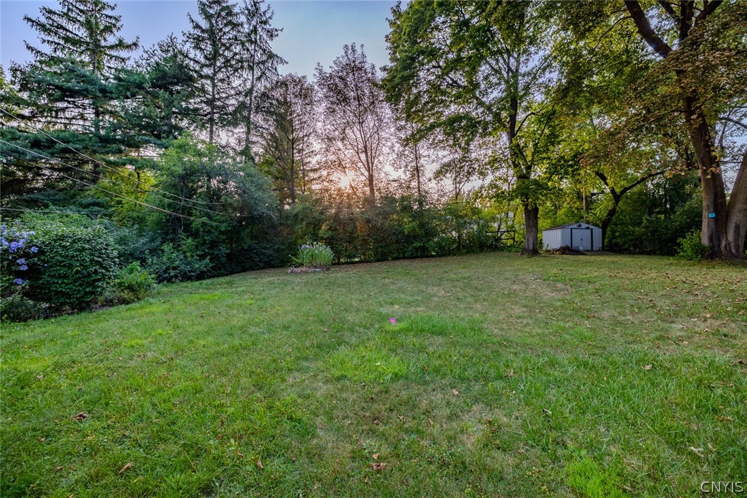 306 Carlton Drive