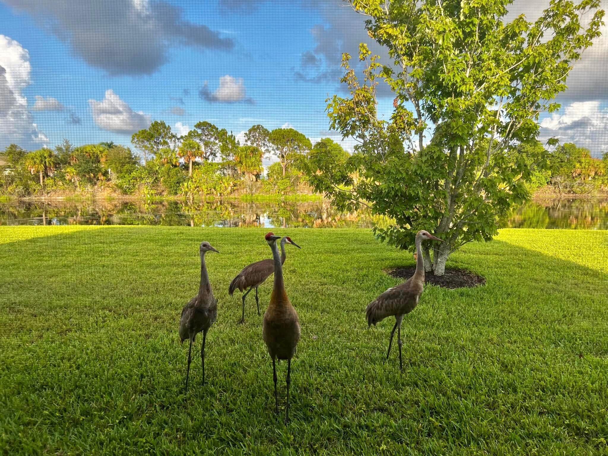 9866 SW Eastbrook Circle, Port St. Lucie