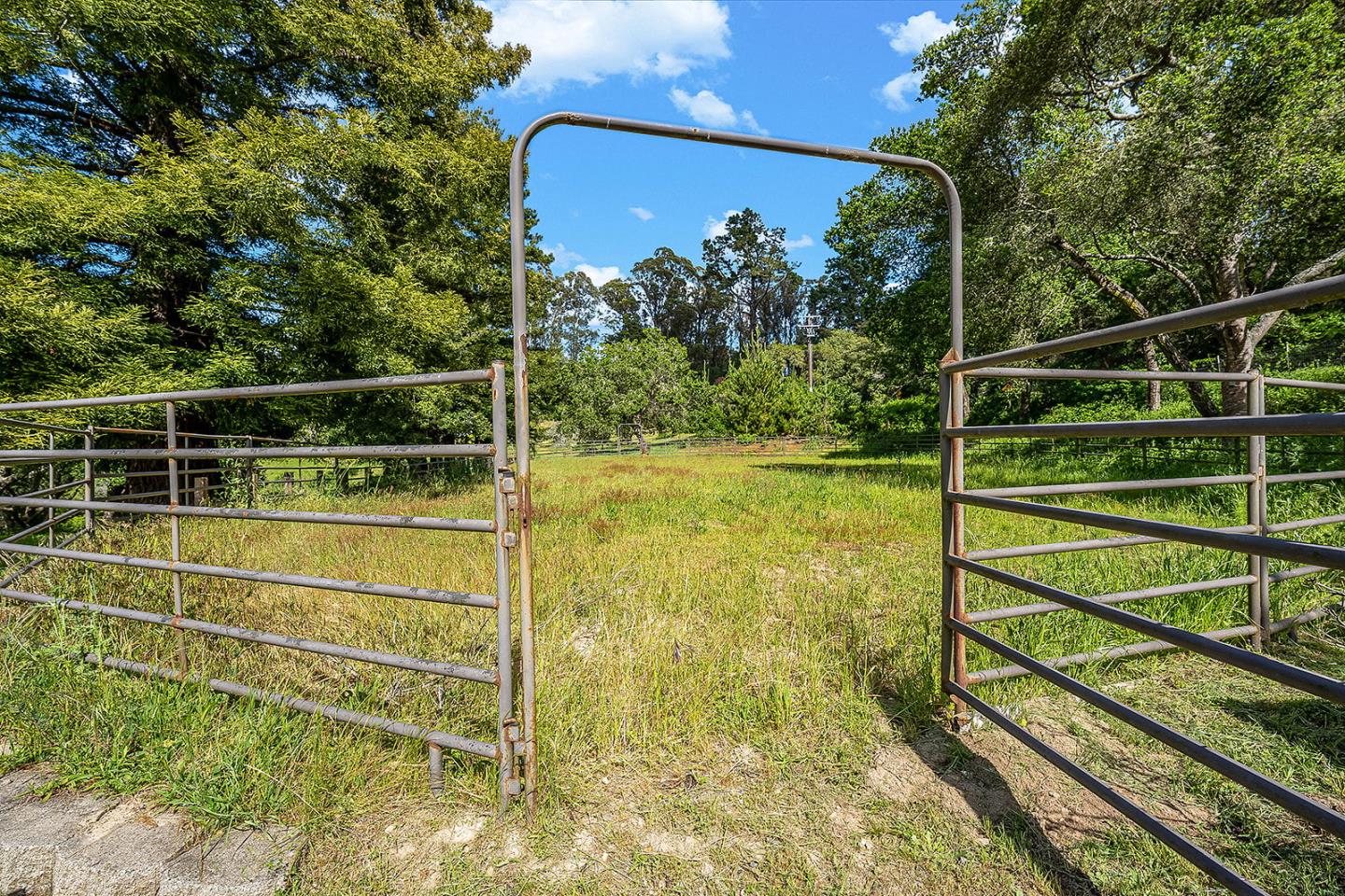 1170 Larkin Valley Road