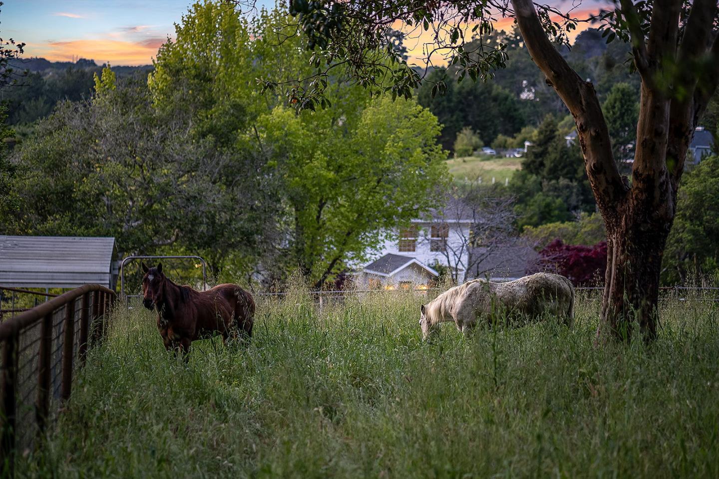 1170 Larkin Valley Road