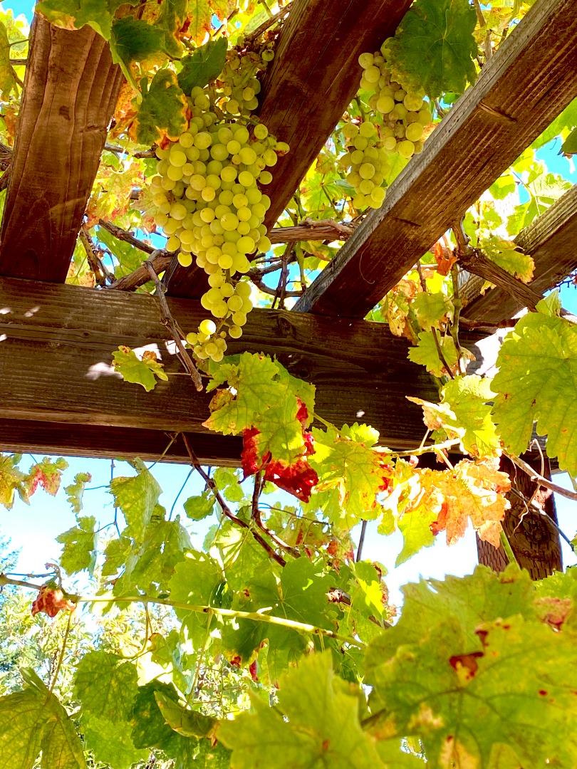 31900 Loma Chiquita RD