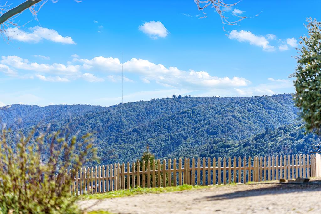 31900 Loma Chiquita RD