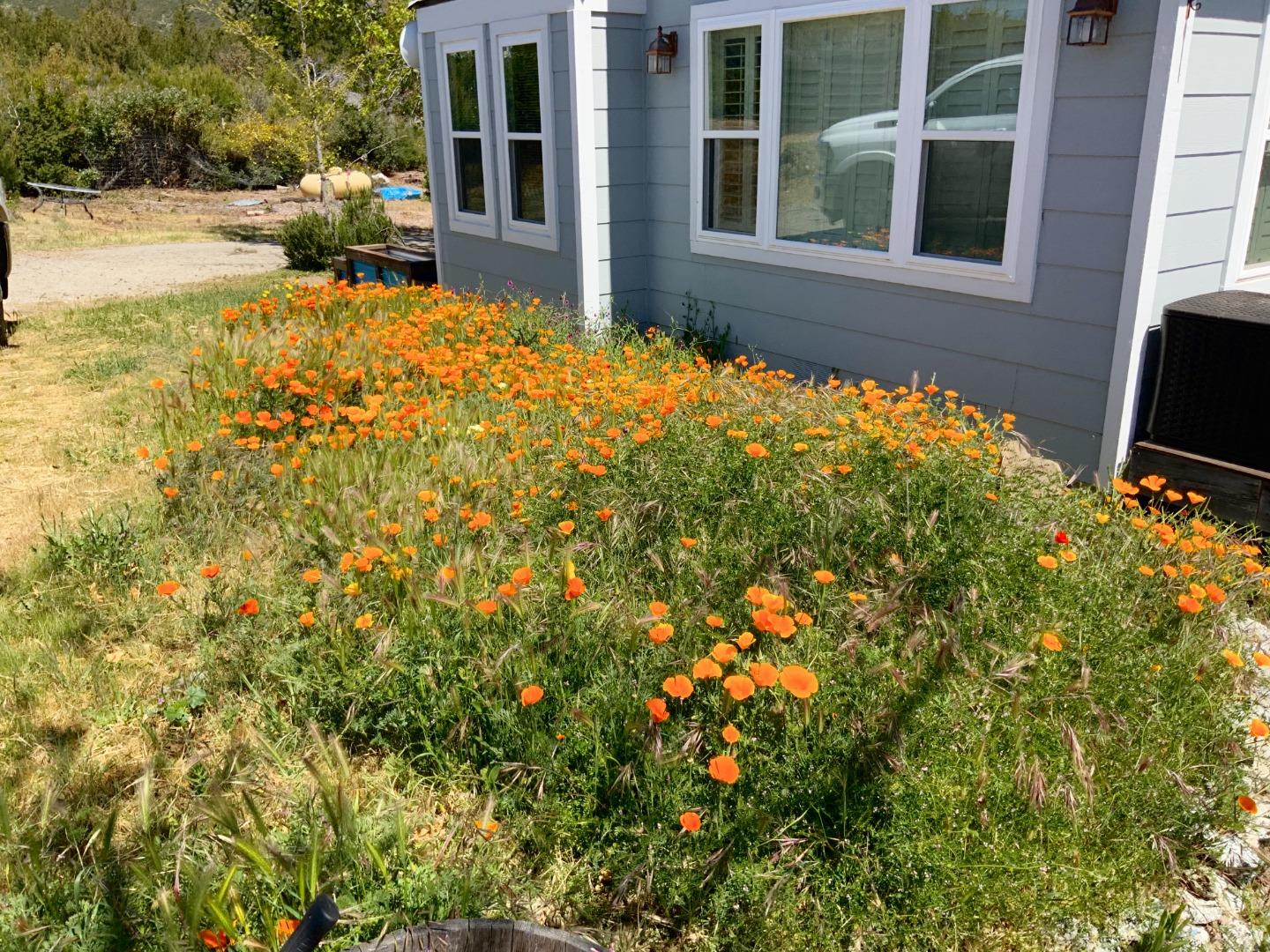 31900 Loma Chiquita RD