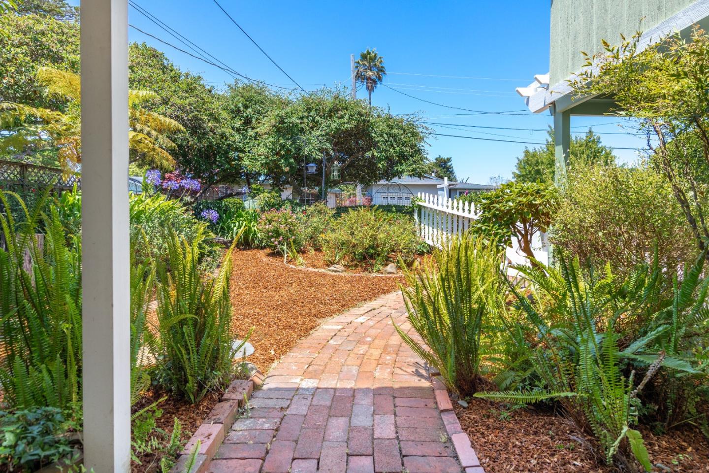 218 Elva DR