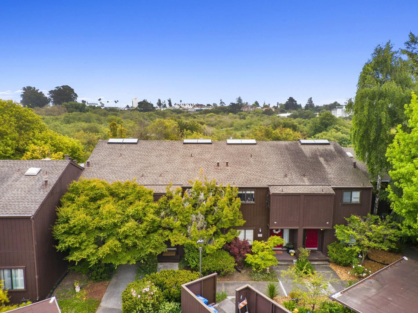 120 Tree Frog LN