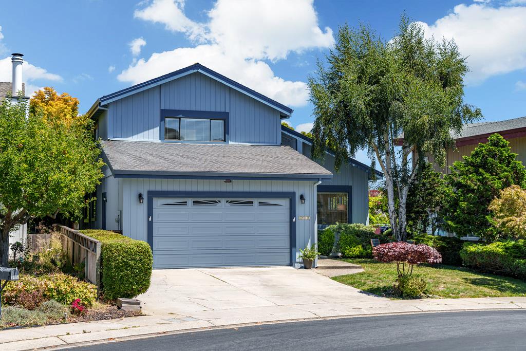 6419 Forehand CT