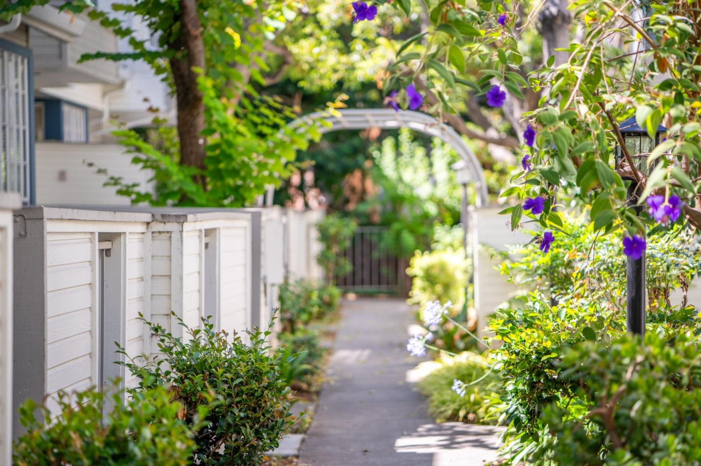 972 Belmont TER 4