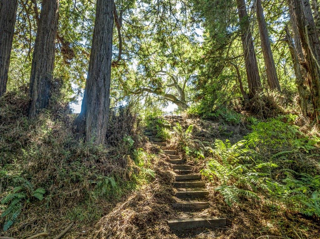 1000 Larkin Valley RD