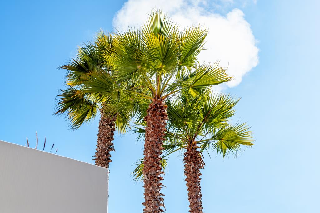 702 Vista Del Mar DR