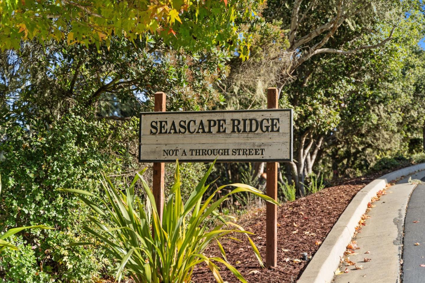 184 Seascape Ridge DR