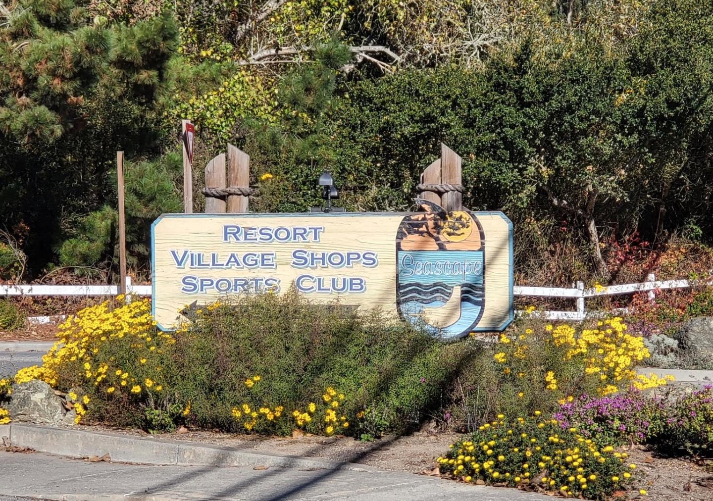 184 Seascape Ridge DR