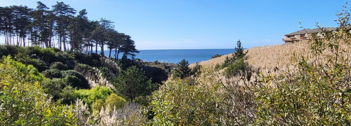 184 Seascape Ridge DR