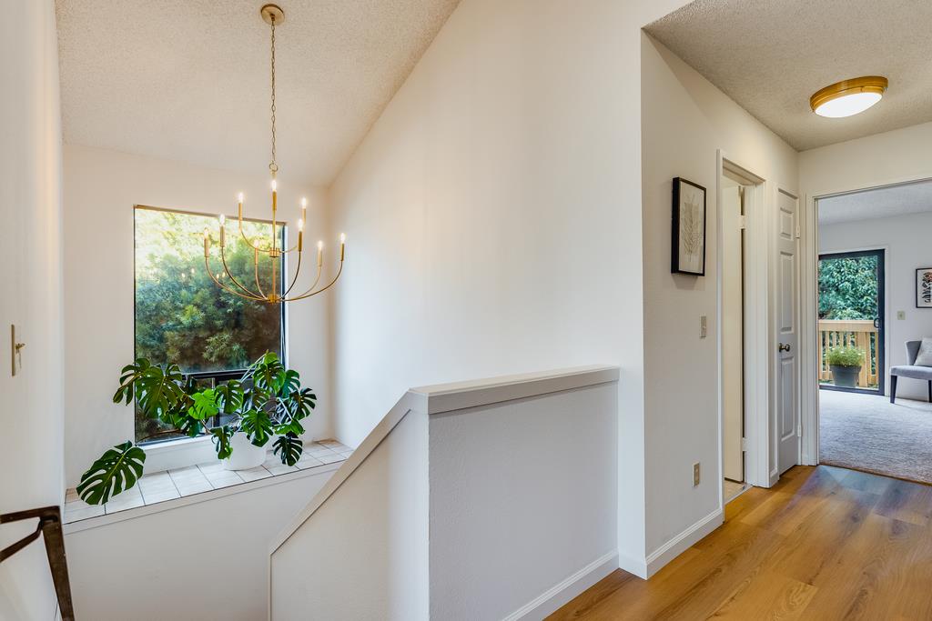 56 Jacklin PL