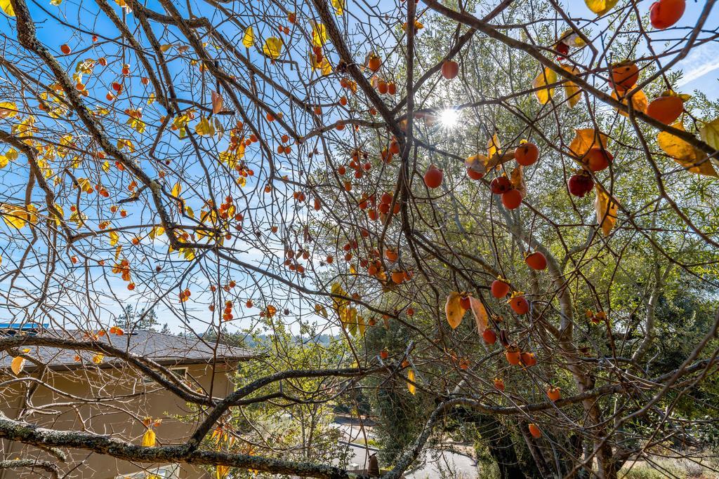 3765 Old Pilkington RD