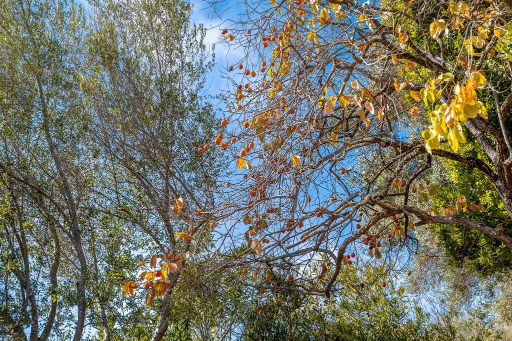 3765 Old Pilkington RD