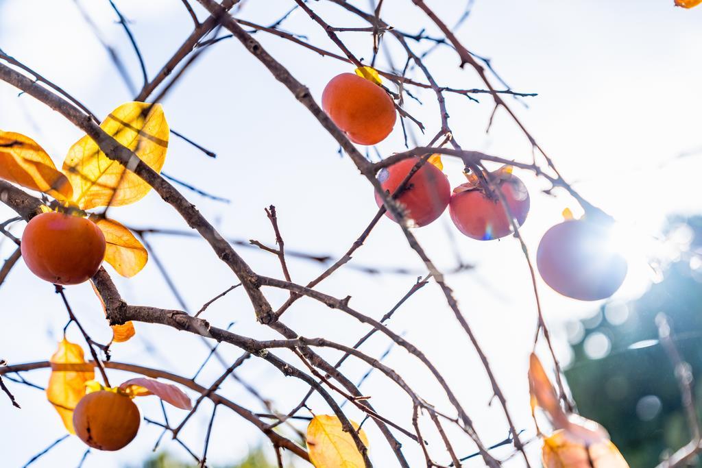 3765 Old Pilkington RD