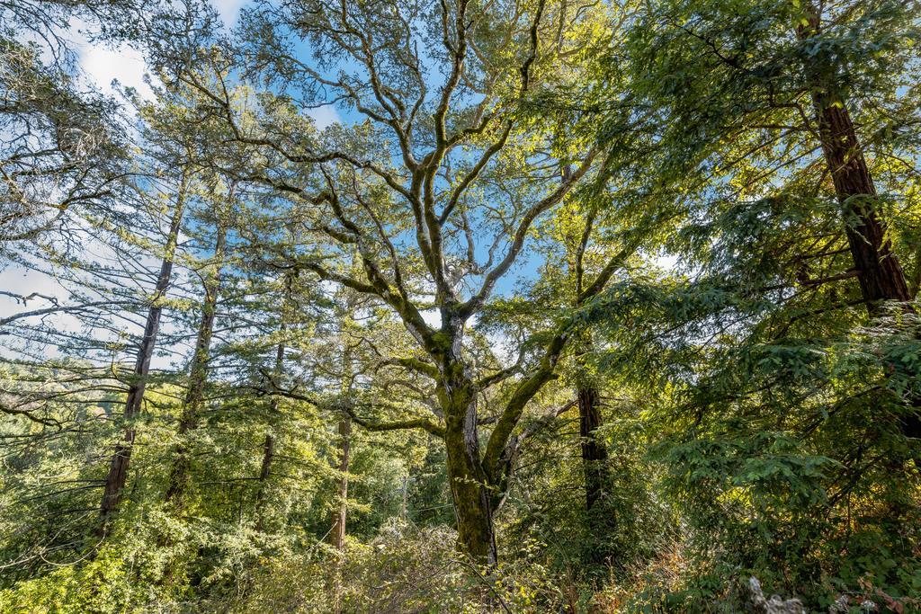 3765 Old Pilkington RD