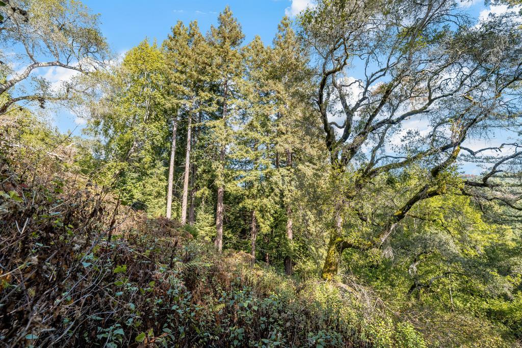 3765 Old Pilkington RD