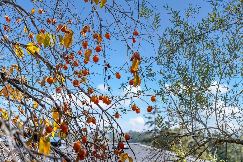 3765 Old Pilkington RD