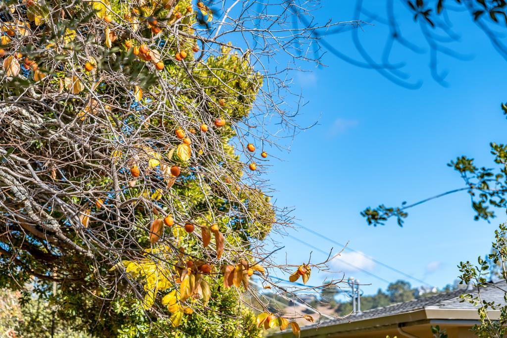 3765 Old Pilkington RD