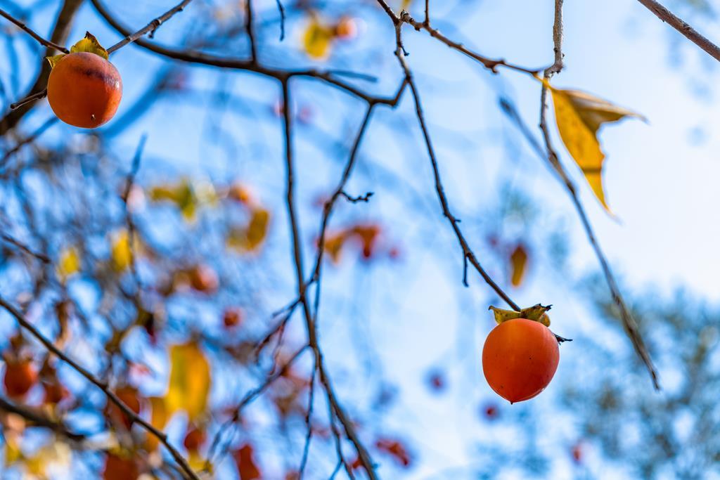 3765 Old Pilkington RD