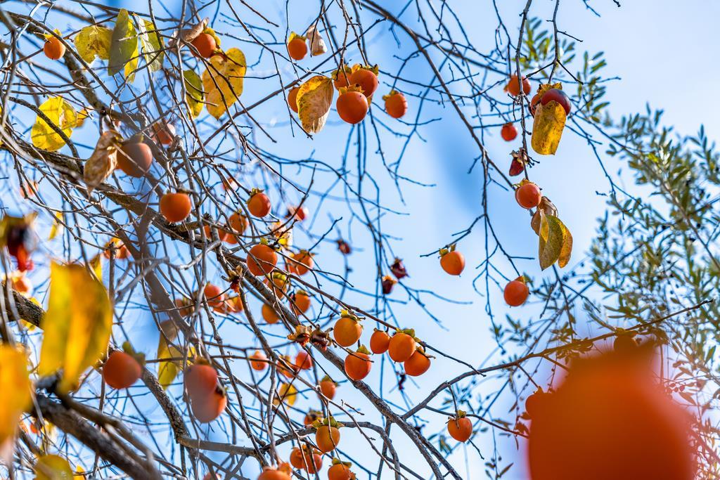 3765 Old Pilkington RD