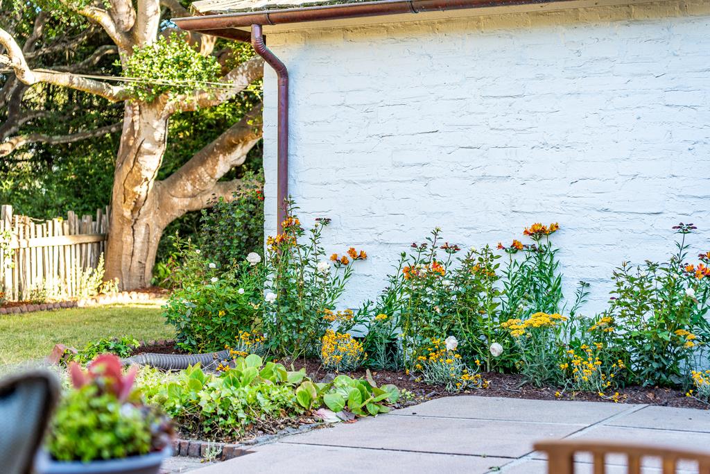 25984 North Mesa Drive