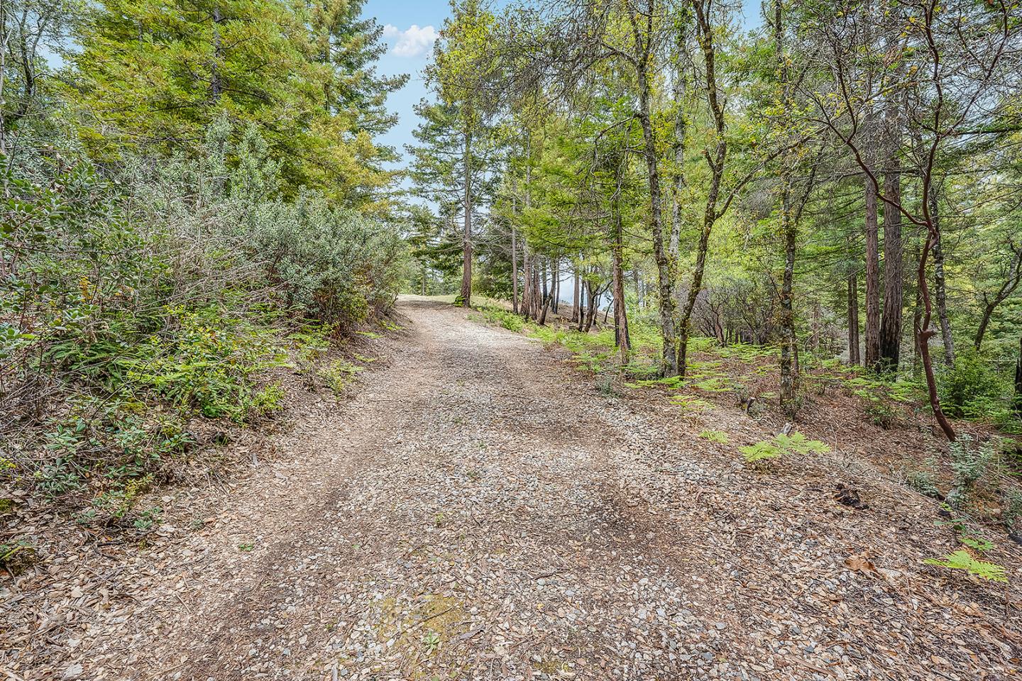 235 Feather LN