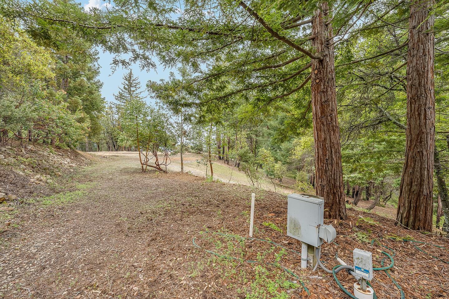 235 Feather LN