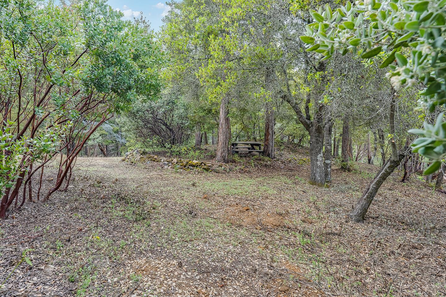 235 Feather LN