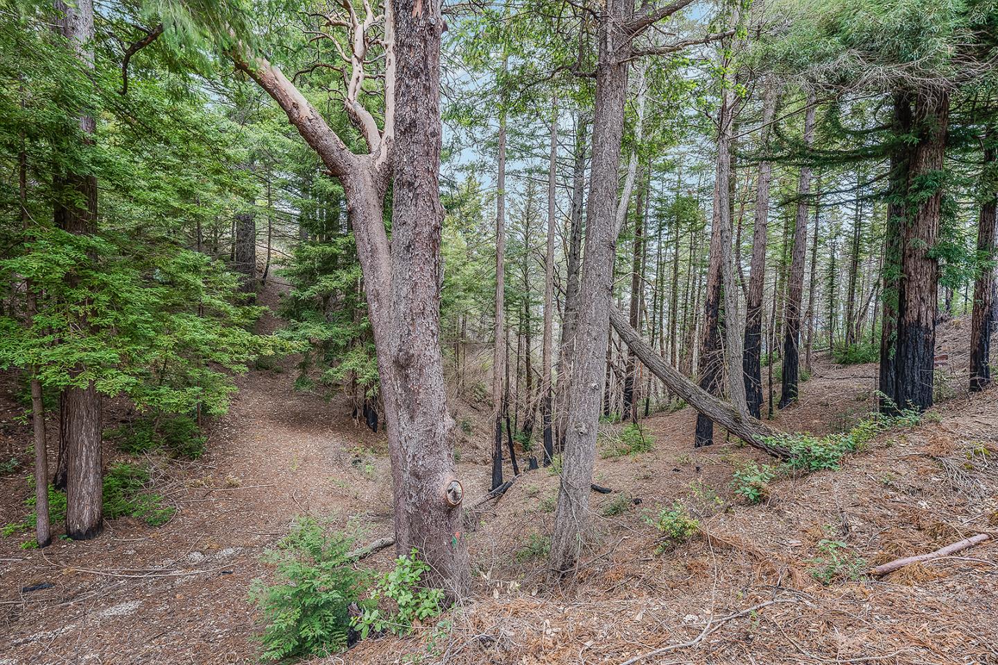 235 Feather LN