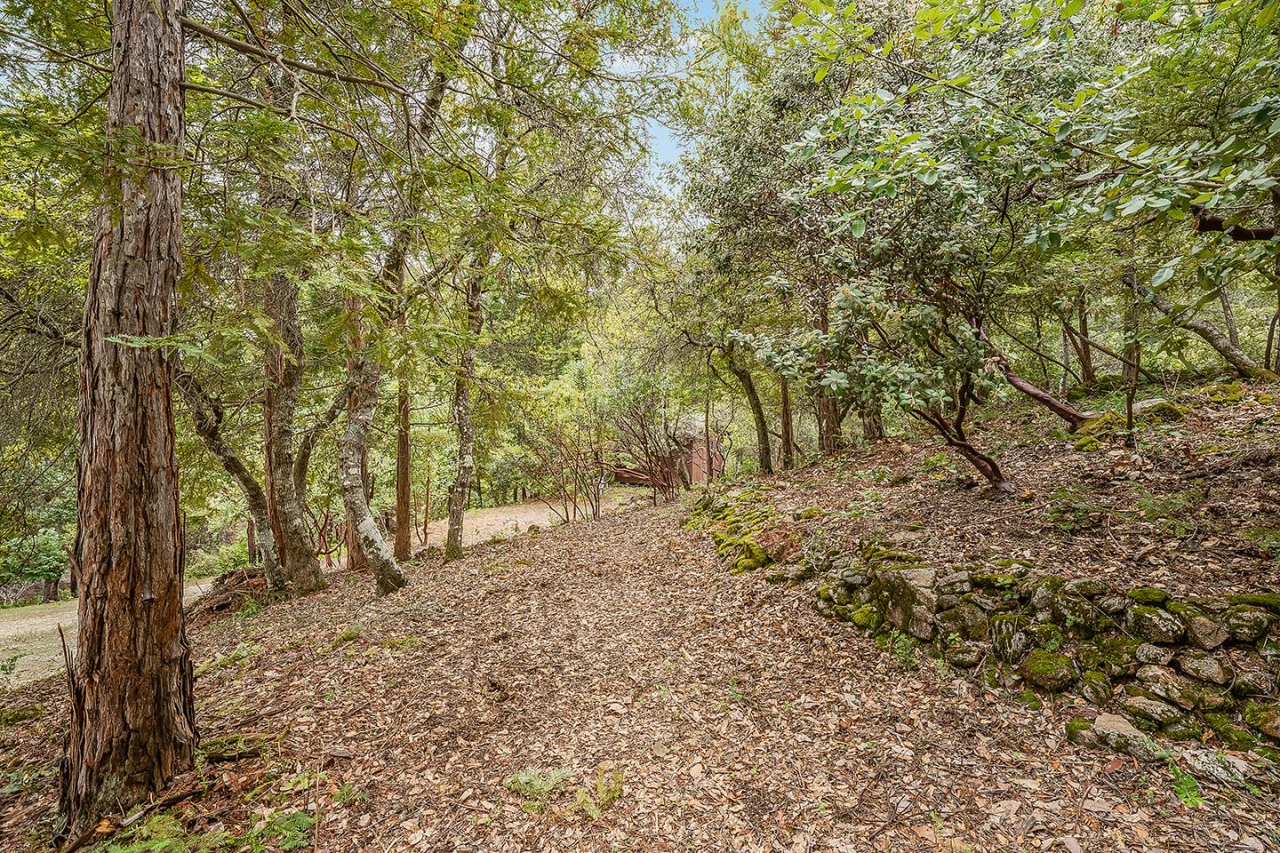 235 Feather LN