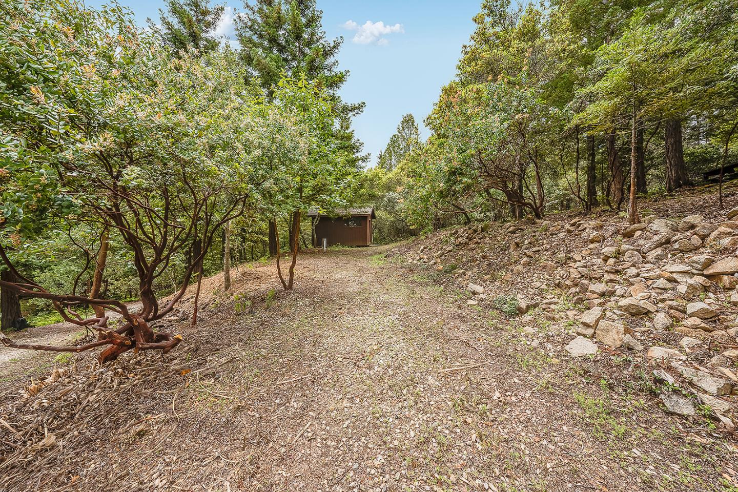 235 Feather LN