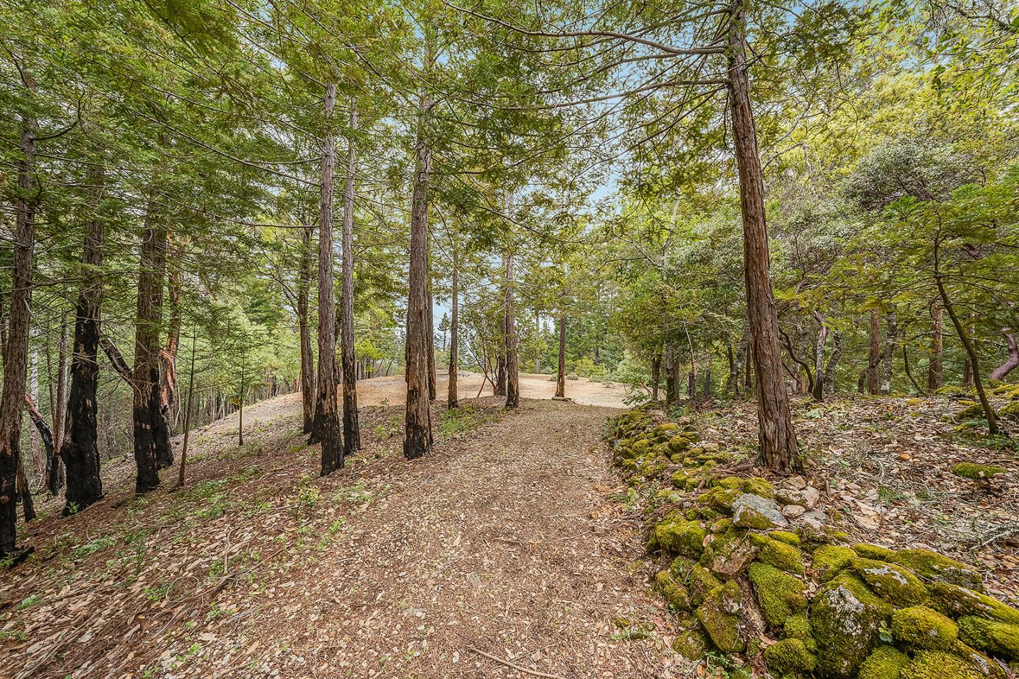 235 Feather LN