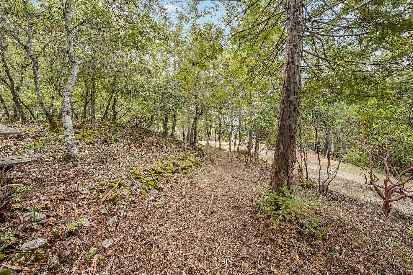 235 Feather LN