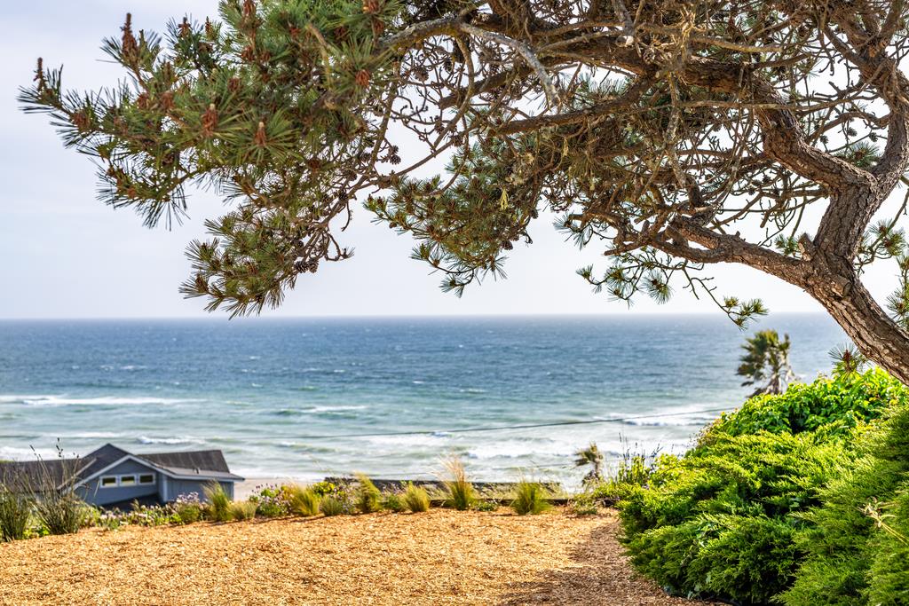 313 Vista DR