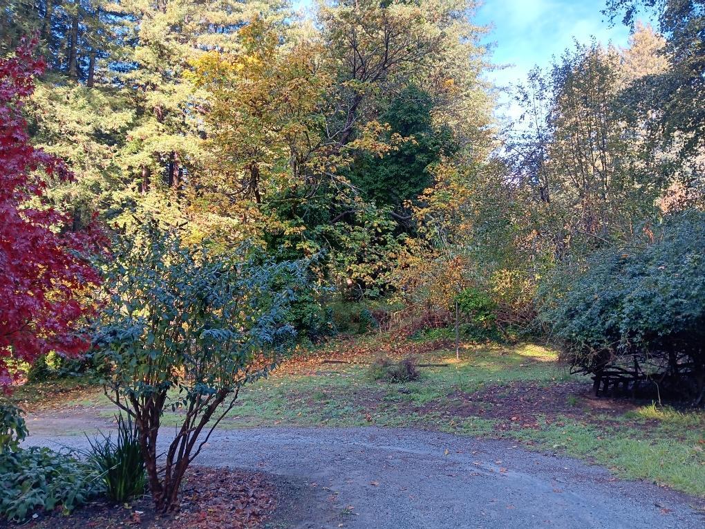 732 Eureka Canyon Road