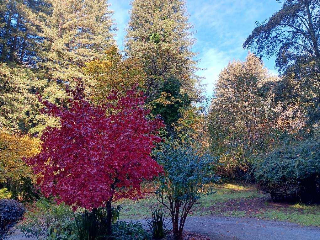 732 Eureka Canyon Road