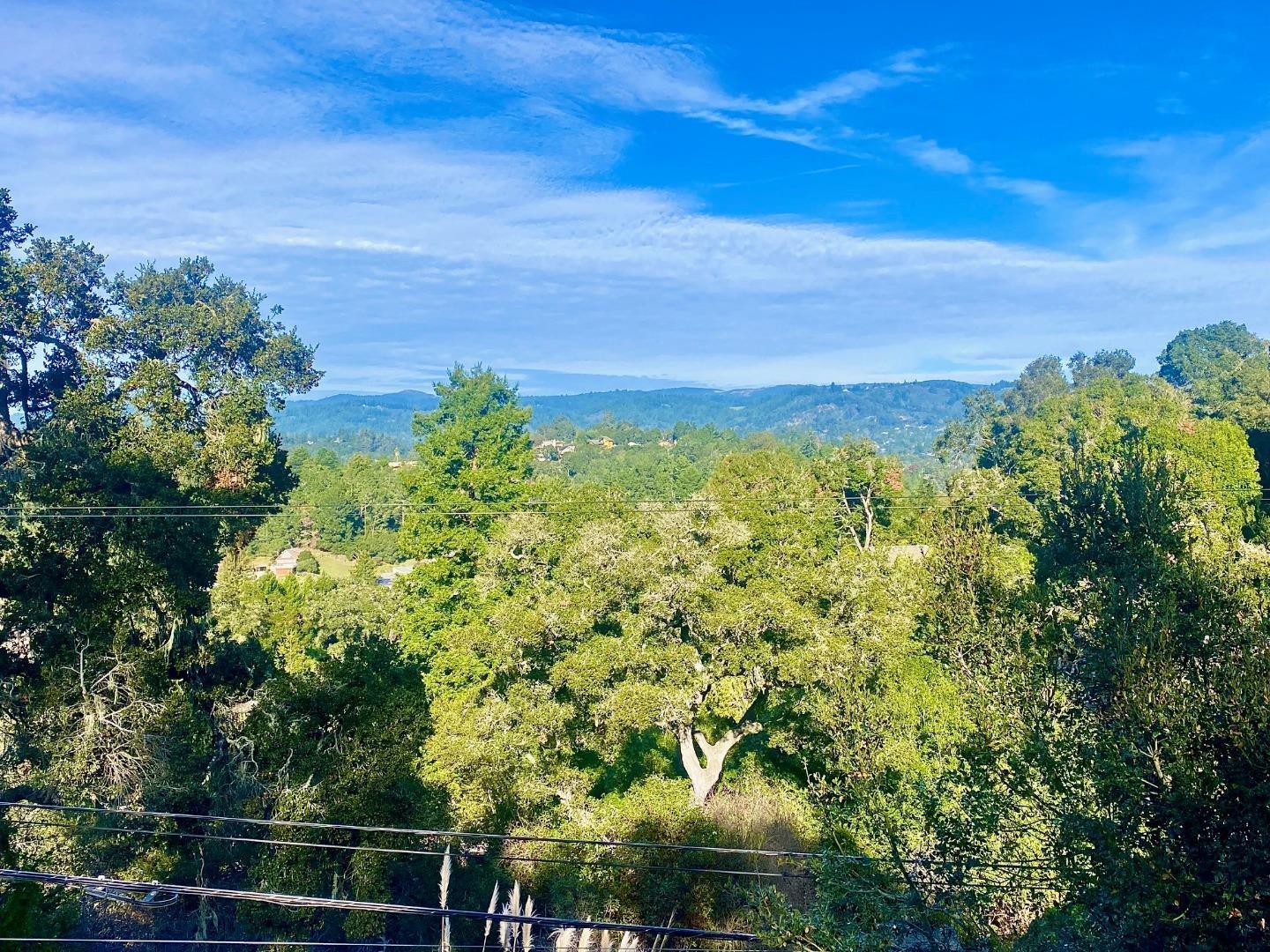 734 Loma Prieta Drive